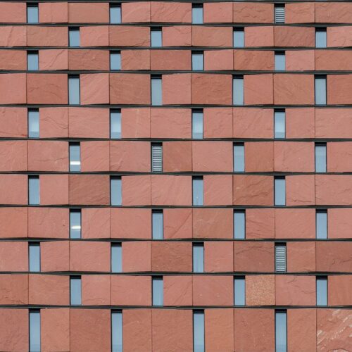 's archidose #815 (1)